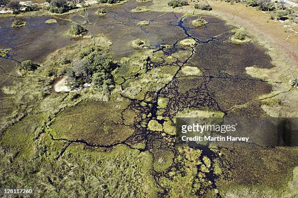 aerial view of islands and waterways central okovango wilderness area in the delta - okavango delta stock pictures, royalty-free photos & images