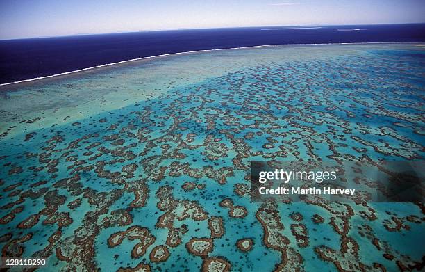 wide angle aerial view of great barrier reef, queensland, australia - wide stock pictures, royalty-free photos & images