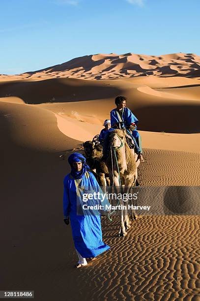 tuareg man and his children, dressed in traditional blue robe, with camels in the erg chebbi area. sahara desert. morocco - tuareg tribe - fotografias e filmes do acervo