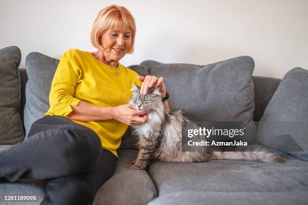 senior caucasian woman cuddling her tabby kitten on the couch in the living room - old lady cat stock pictures, royalty-free photos & images