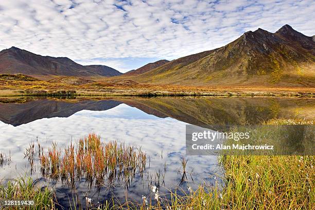clouds and mountains reflected in small tundra lake of the ogilvie mountains, tombstone territorial park, yukon, canada - northpark stock pictures, royalty-free photos & images