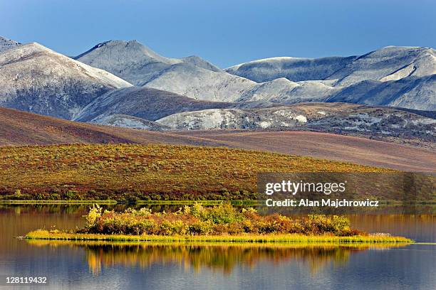 lake in the blackstone plateau, reflected clouds and hills of the ogilvie range, yukon, canada - yukon stock pictures, royalty-free photos & images