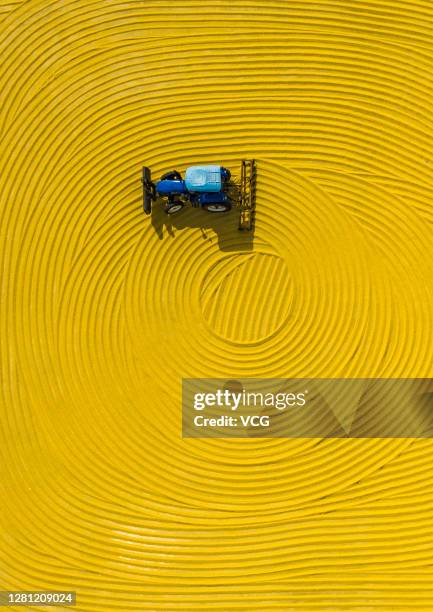 Aerial view of a farmer operating a tractor to spread grains to dry on October 19, 2020 in Suqian, Jiangsu Province of China.