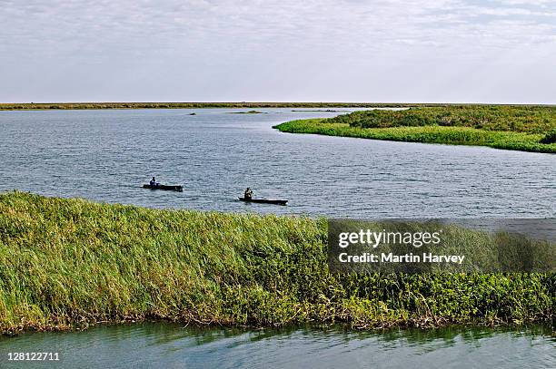fishermen returning by boat after checking their nets. kafue river. zambia. - river ter fotografías e imágenes de stock