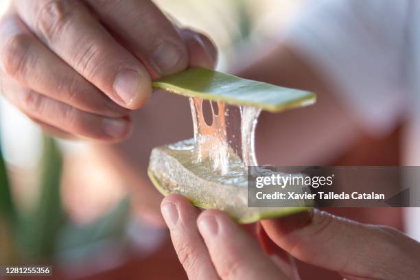 resin of a slice of aloe vera - aloe slices stock pictures, royalty-free photos & images