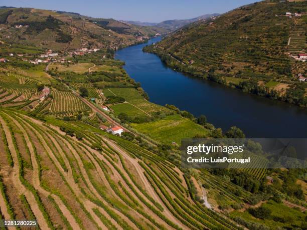 douro vallei in de buurt van mesão frio - douro river stockfoto's en -beelden