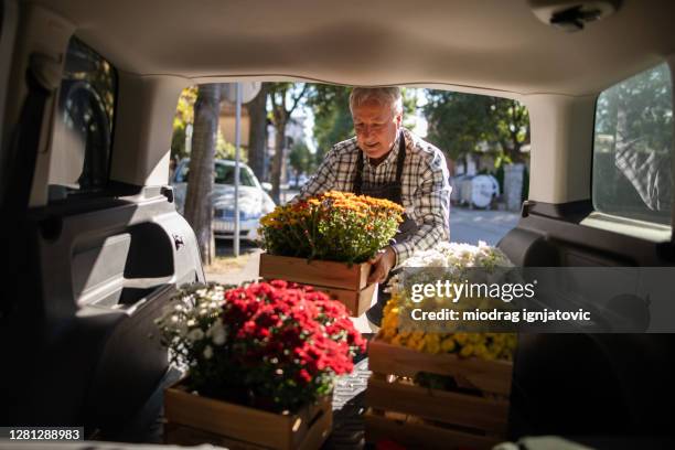 de winkeleigenaar die van de bloem voor zijn bloemenwinkel van autoboomstam neemt - flower shop stockfoto's en -beelden