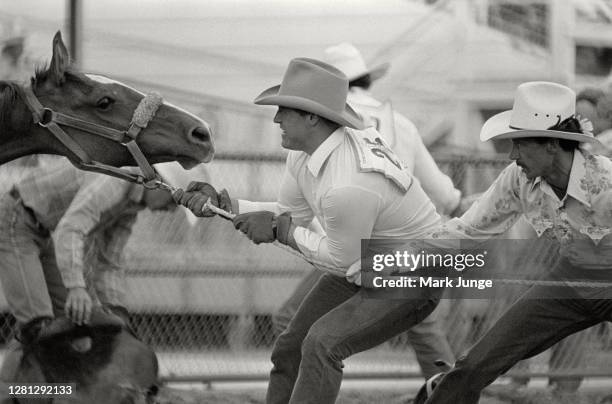 Cheyenne Rodeo Foal Racing 116 Cheyenne Frontier Days Wild Horse Stock Photos, High-Res Pictures ...