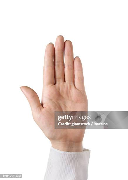 Pledge Hand Sign Pledge Hand Photos and Premium High Res Pictures - Getty Images