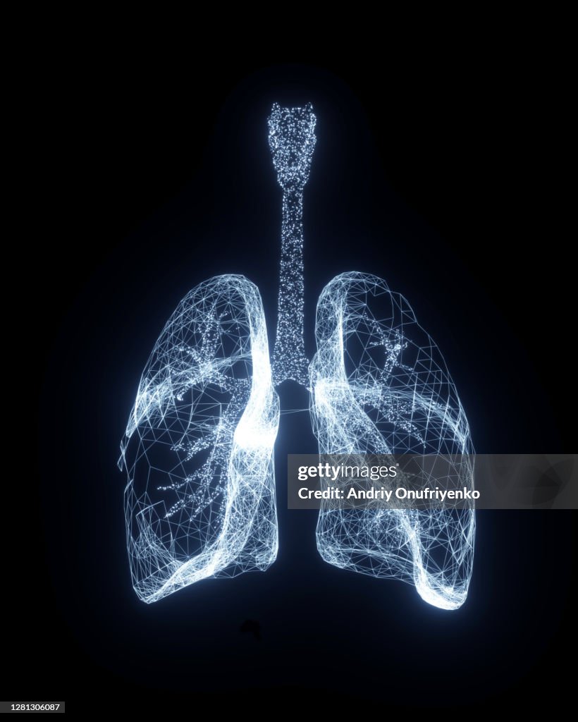 Digital Lungs