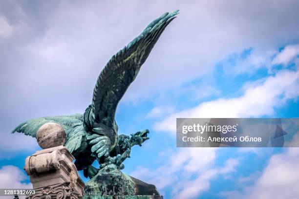 Turul Rajz 56 Turul Bird Stock Photos, High-Res Pictures, and Images - Getty Images