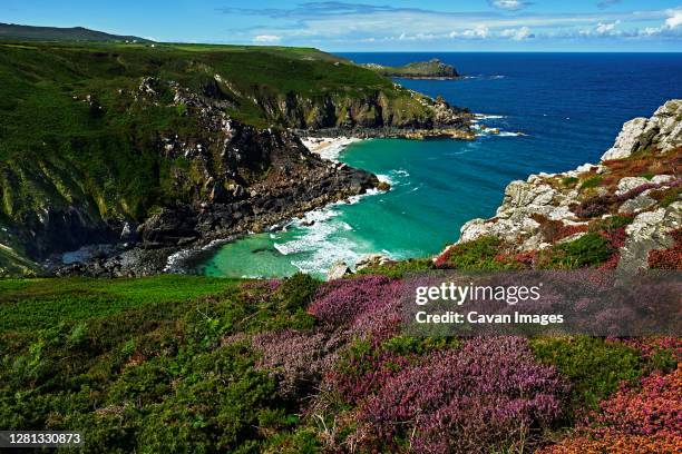 Cornwall Riviera Bush Cornwall Photos and Premium High Res Pictures - Getty Images