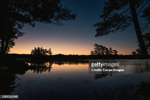 silhouette of evergreen trees on a lake in ontario, canada at sunrise. - evergreen forest stock-fotos und bilder
