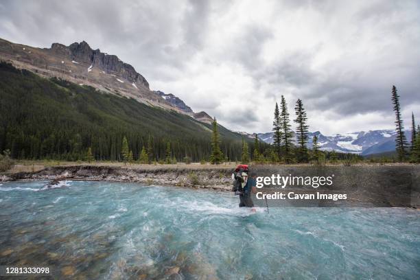 backpacker crosses fast flowing river en route to castleguard meadows - crossing river stock pictures, royalty-free photos & images