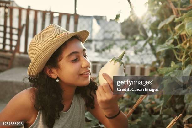 a smiling girl collects a white aubergine in her small garden at home - aubergine blanche photos et images de collection