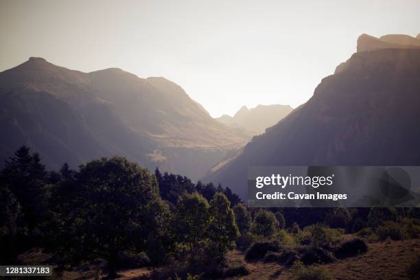 mountains in canfranc valley, huesca province, aragon in spain. - abrupt forest stock pictures, royalty-free photos & images