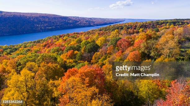 aerial of pristine lake in surrounded by colorful autumn forest - フィンガーレイク ストックフォトと画像