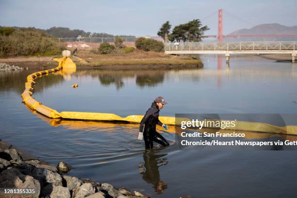 Presidio Trust wildlife ecologist Jonathan Young wades into the water to help diver Ted Buhl install flat panel structures made from thousands of...