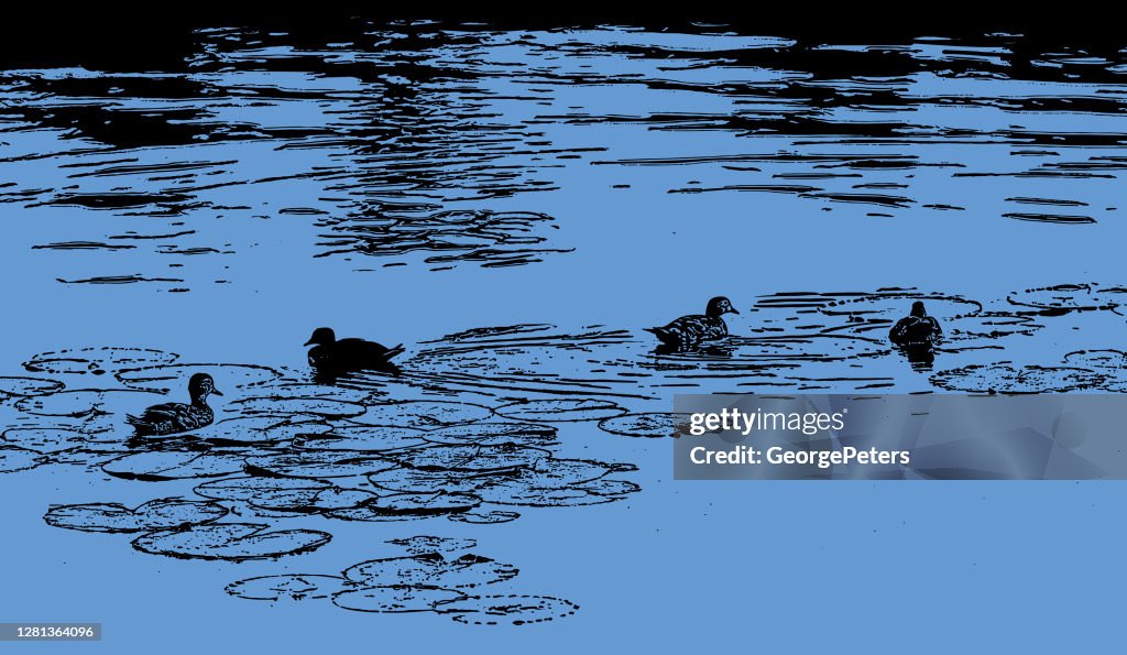 Ducks swimming on lake