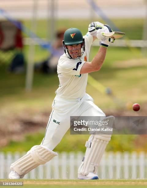 Tim Paine of the Tasmanian Tigers bats during day three of the Sheffield Shield match between South Australia and Tasmania at Karen Rolton Oval on...