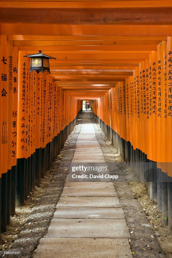 Torii gates at Fushimi Inari Shrine, Kyoto, Japan