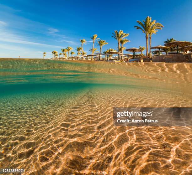 underwater scene with clear water near a tropical beach. egypt - sharm al sheikh stock pictures, royalty-free photos & images