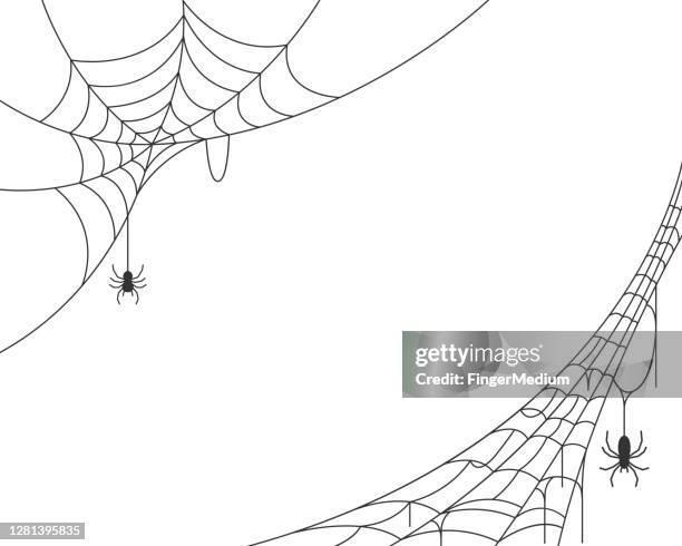 stockillustraties, clipart, cartoons en iconen met de achtergrond van het spinnenweb - horror