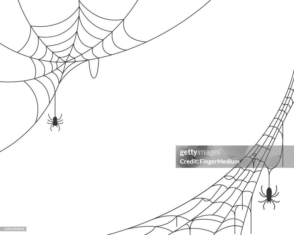 Spider web background