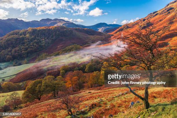 borrowdale and rosthwaite rustic autumn morning - october landscape stock pictures, royalty-free photos & images