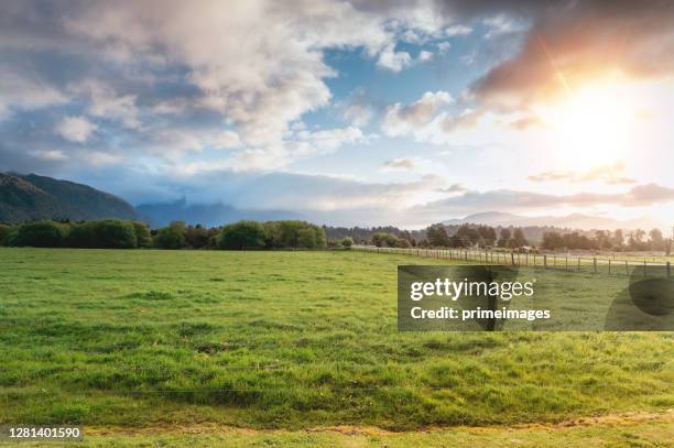 vista de gran angular de maedow verde natural y árbol con luz solar matutina granja y fondo de montaña en nueva zelanda - summer new zealand fotografías e imágenes de stock