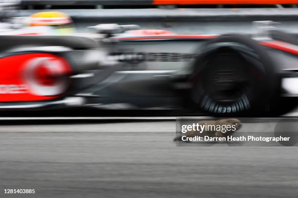 British McLaren Formula One driver Lewis Hamilton driving his McLaren MP4-23 drives past a Marmot ground squirrel during practice for the 2008...
