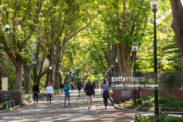 University Campus with few students during pandemic Fall 2020, University of Pennsylvania, Philadelphia, USA.