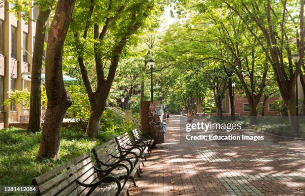 University Campus with few students during pandemic Fall 2020, University of Pennsylvania, Philadelphia, USA.