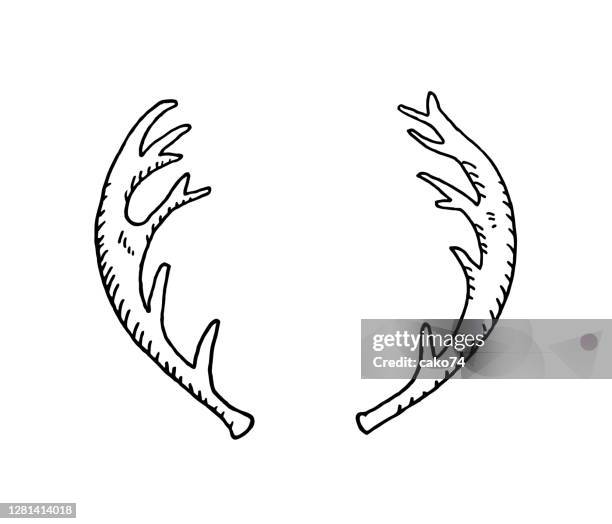 hand drawn deer horn - white moose stock illustrations