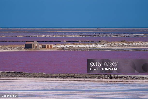 scenic view of salt lake against clear sky at walvis bay - walvis bay stock pictures, royalty-free photos & images