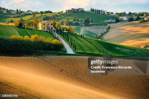 countryside, marche region landscape, central italy. - marken stockfoto's en -beelden