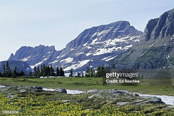 Subalpine Meadows Photos and Premium High Res Pictures - Getty Images
