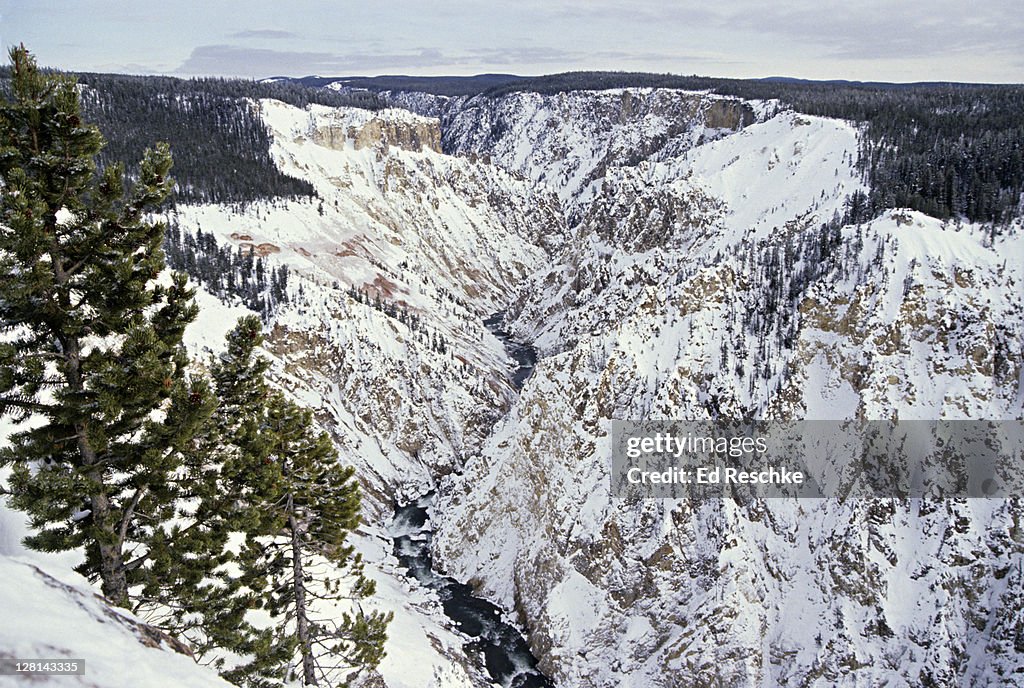 Grand Canyon of the Yellowstone in winter. Yellowstone National Park. USA