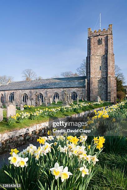 Devon Spring Time Devon Spring Photos and Premium High Res Pictures - Getty Images