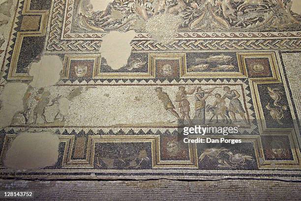 mosaics from the dionysus house from the 3rd century a.d. zippori, ancient city in the lower galilee. israel - tzippori stock pictures, royalty-free photos & images
