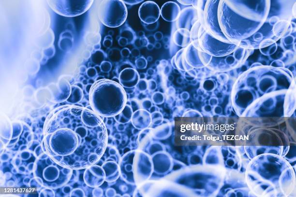 cell division - conjugation biological process stock illustrations