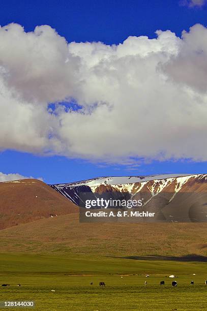 12 Uvs Aimag Stock Photos, HighRes Pictures, and Images Getty Images