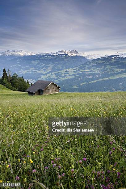 alpine hut, heidiland, swiss alps, switzerland - heidiland stock pictures, royalty-free photos & images