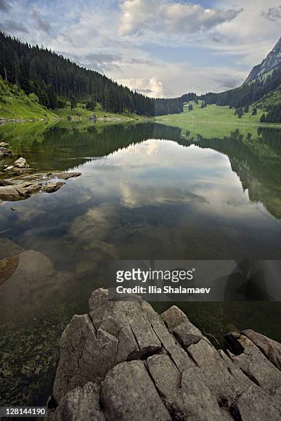 mountains and sky reflected off small alpine lake, heidiland, swiss alps, switzerland - heidiland stock pictures, royalty-free photos & images