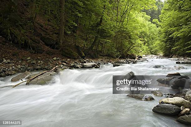 rushing mountain stream, heidiland, swiss alps, switzerland - heidiland stock pictures, royalty-free photos & images