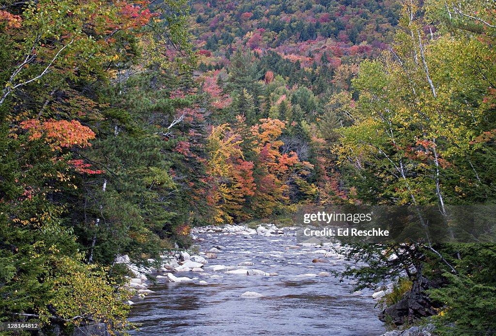 Swift River in autumn, Rocky Gorge Scenic Area, White Mountains National Forest, New Hampshire, USA