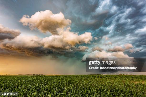 storm - weather - tornado alley - nebraska - awe - usa - hailstorm stock pictures, royalty-free photos & images