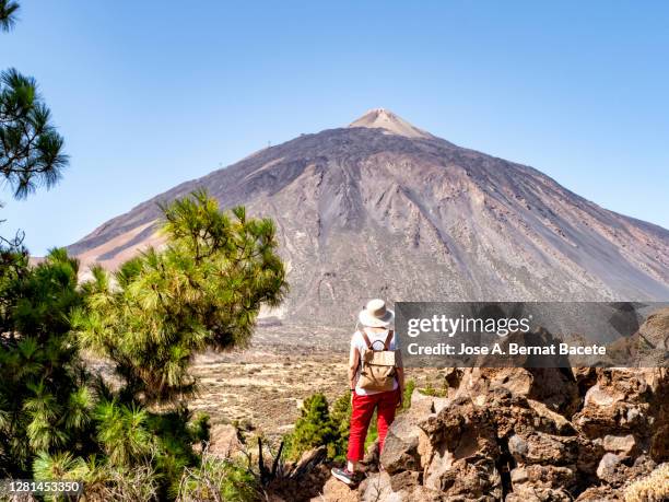 hiking woman walking through a volcanic mountain landscape in tenerife, canary islands. - pico de teide stock-fotos und bilder