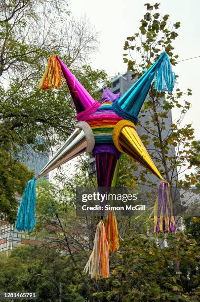 Rainbow Colored Piñata Hanging From A Tree In A Mexico City Street High-Res  Stock Photo - Getty Images