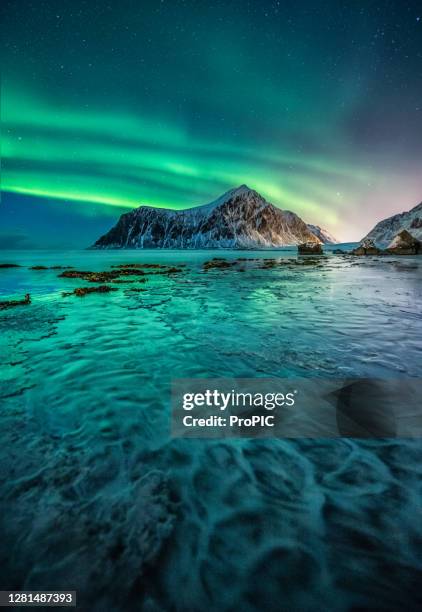 skagsanden beach, lofoten, norway. - fjord stock-fotos und bilder